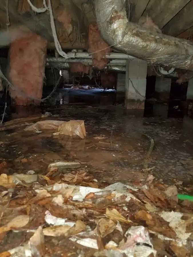 Crawl space flood assessment for Commercial Water Damage Restoration in East Grand Rapids