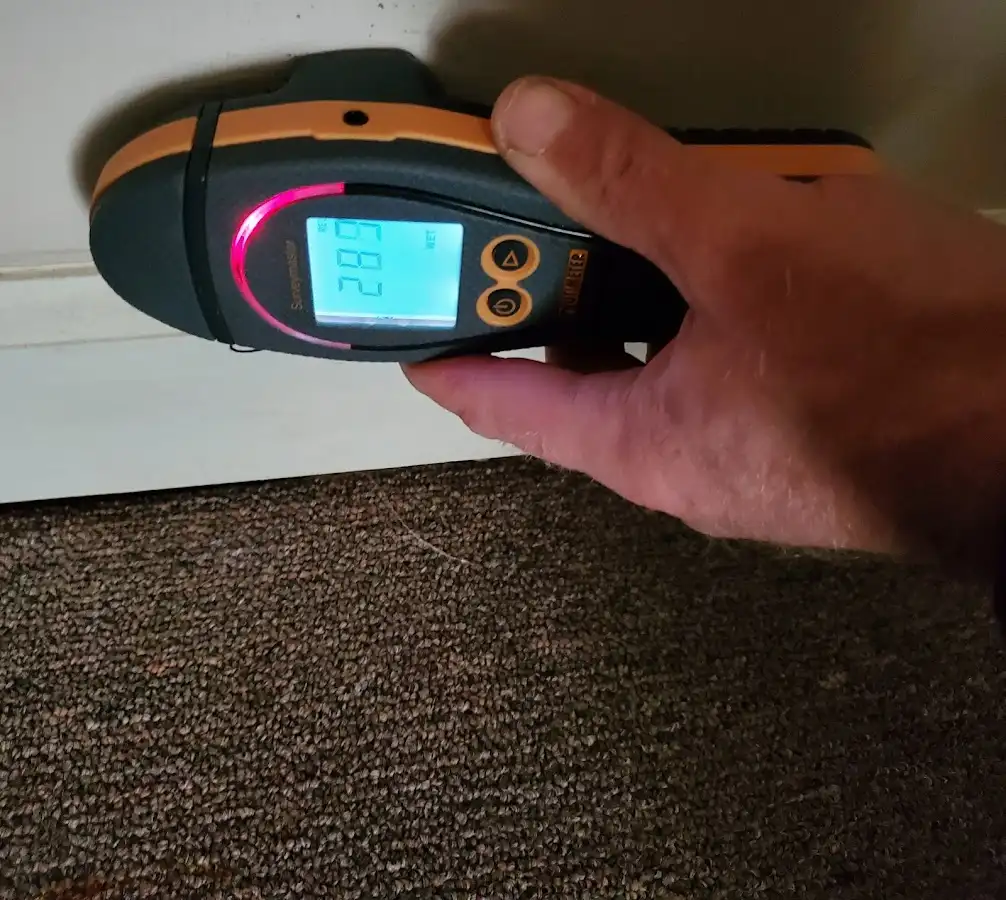 Moisture detection at baseboard during Sewage Cleanup & Sanitation in East Grand Rapids